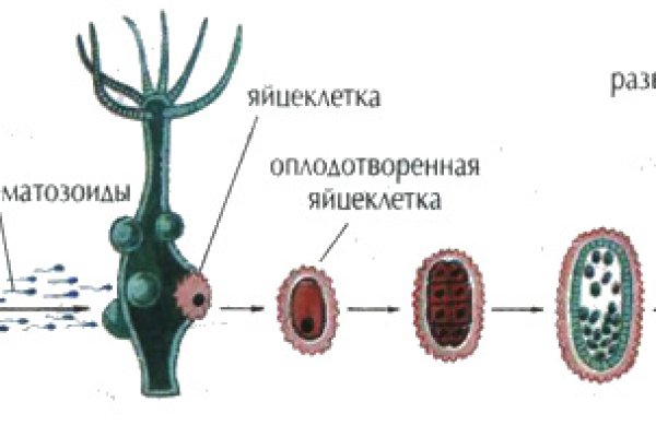 Купить наркотики через кракен